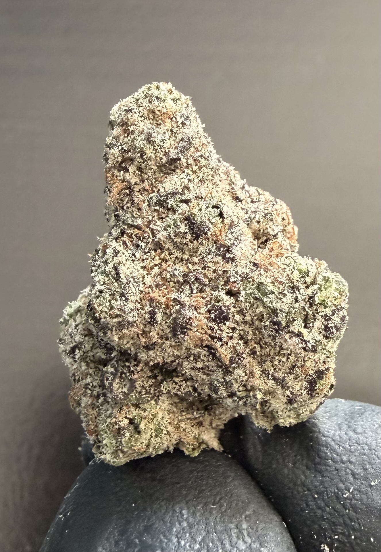 Lemon Cherry Gelato THCA / Preroll